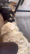 analuvillarreal Altpins Profile Picture