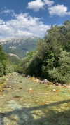 ellamwatts_ Altpins Profile Picture