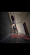 shayli_or Altpins Profile Picture