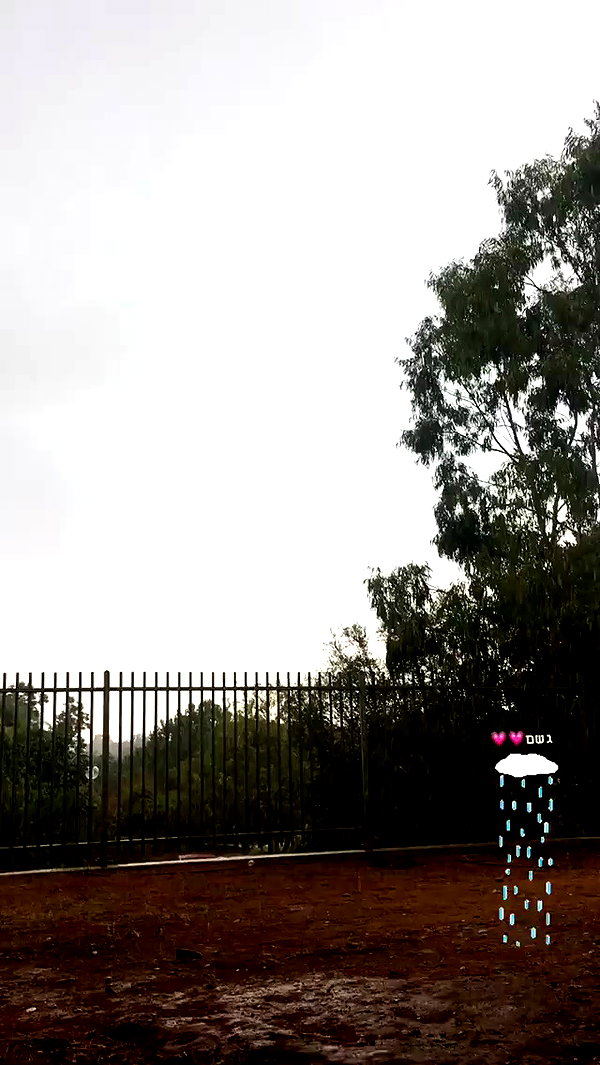 evasela__ archive video preview