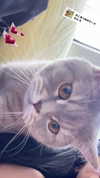 angel699k Altpins Profile Picture