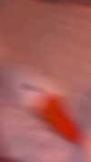 mila_ventura23 Altpins Profile Picture