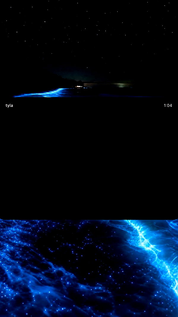 tyla archive video preview