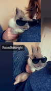 luvstuff3r Altpins Profile Picture