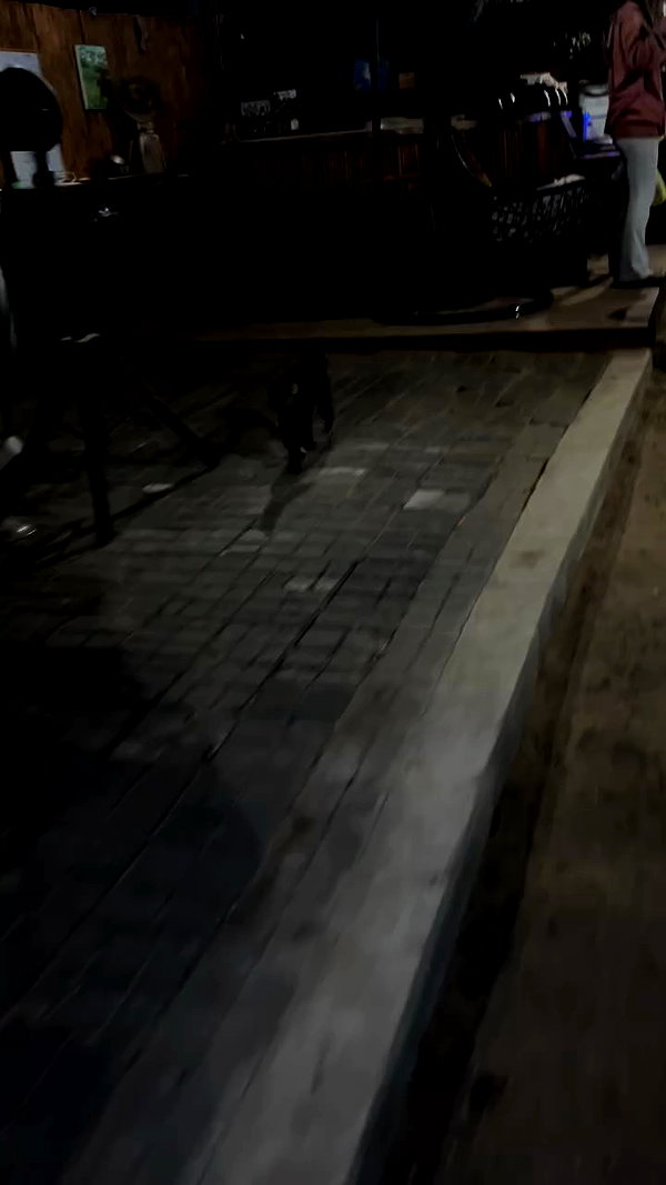 _wizardmidget_ archive video preview