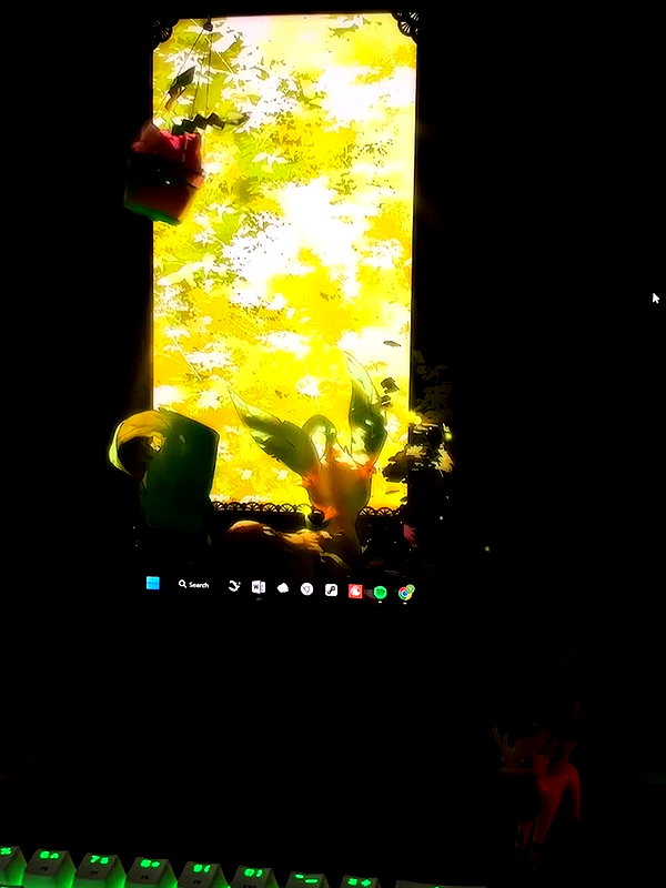 _roniira archive video preview