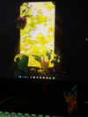 _roniira Altpins Profile Picture