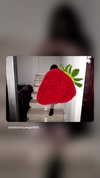 hellokittyangel666 Altpins Profile Picture