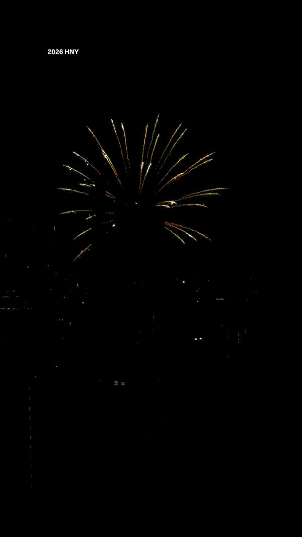 eliya.ho archive video preview