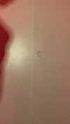 leanbeefpatty Altpins Profile Picture