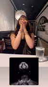 dommymommytiff Altpins Profile Picture