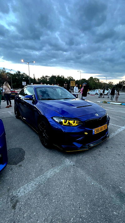 simp_for_cats_ simp_for_cats_ archive video