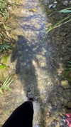 mishel_d_ Altpins Profile Picture