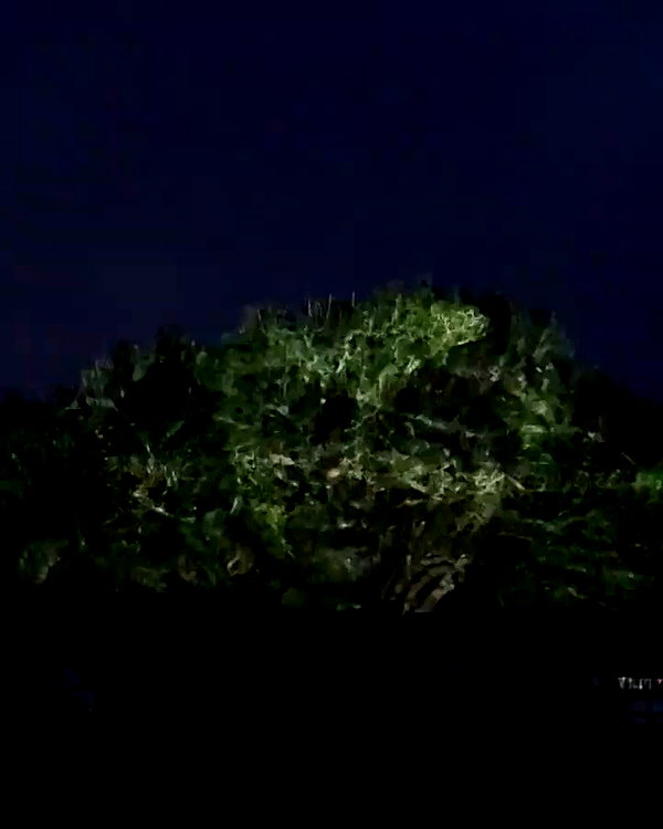 yulia.isakov archive video preview