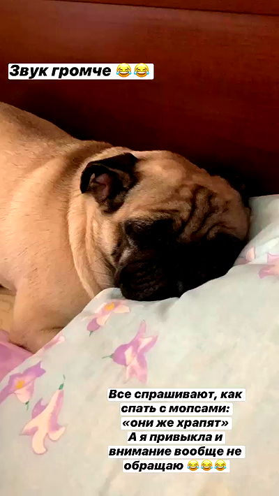 nyityam nyityam archive video