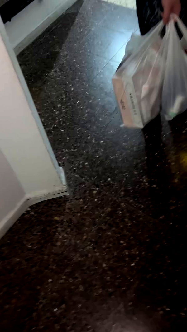 _.shelichka._ archive video preview
