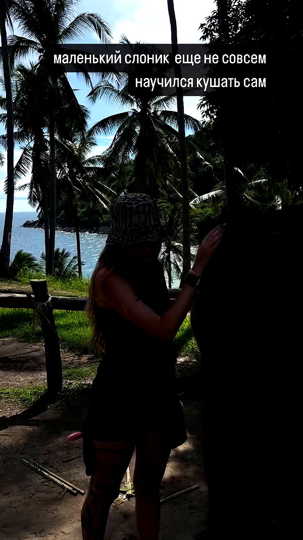 orman.mariee archive video preview