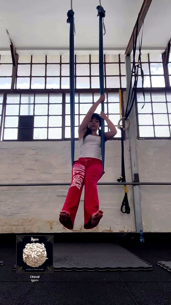 yam_adler archive video preview