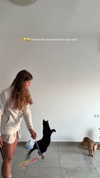 mishel_d_ Altpins Profile Picture