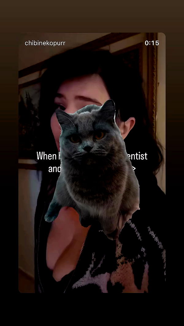 chibinekopurr archive video preview