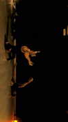 suspiria.em Altpins Profile Picture