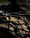 milena_milachich Altpins Profile Picture