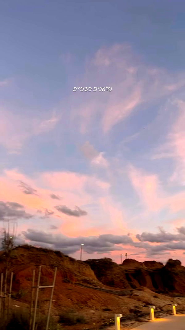 roni__moalem archive video preview