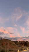 roni__moalem Altpins Profile Picture