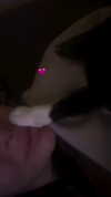 rott3nbambi Altpins Profile Picture