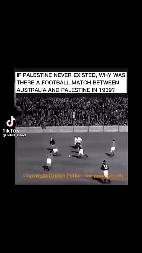 notchicore archive video preview