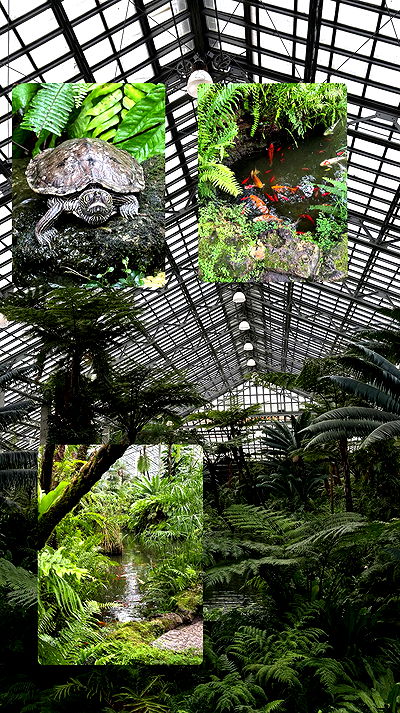 winbun.io winbun.io archive video