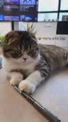 sonia_litvanchuk Altpins Profile Picture