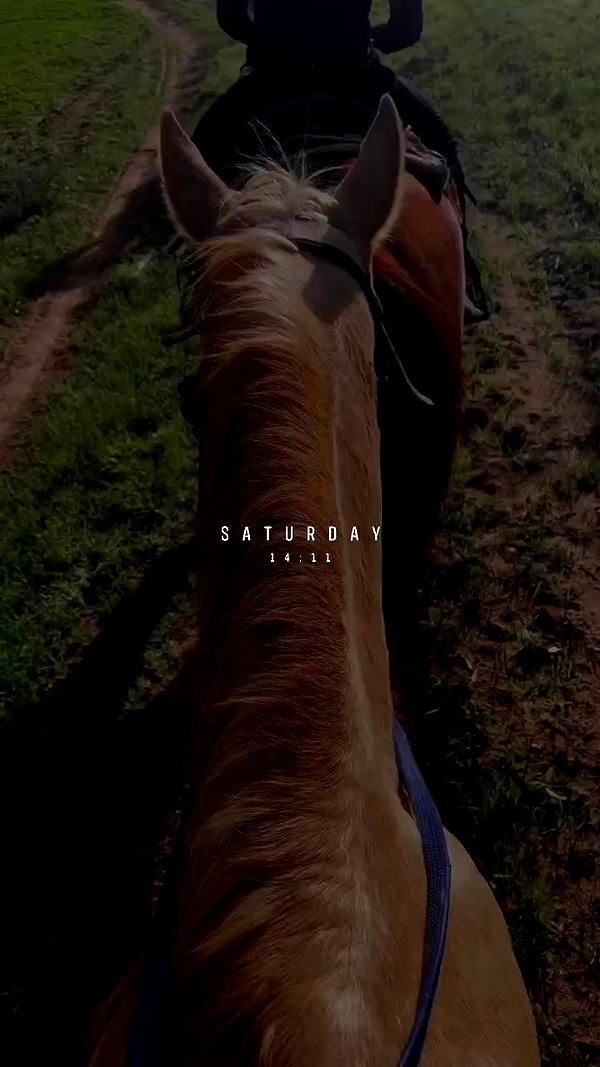 _stella_shani_ archive video preview