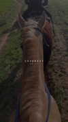 _stella_shani_ Altpins Profile Picture