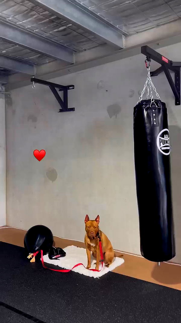 olivia.mathers archive video preview