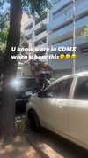 vanessa.rhd Altpins Profile Picture