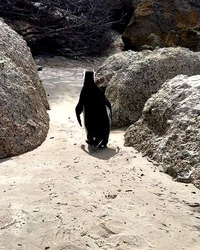 taylor.creeden taylor.creeden archive video