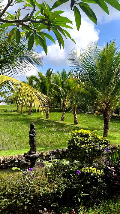 taylor.creeden taylor.creeden archive video