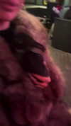 rott3nbambi Altpins Profile Picture