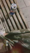 ancideja Altpins Profile Picture
