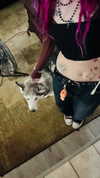 astarwbry_ Altpins Profile Picture