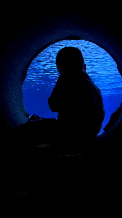 hanabellask8 hanabellask8 archive video