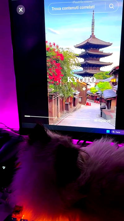 kasumi_sen kasumi_sen archive video