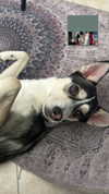 yaarat11 Altpins Profile Picture