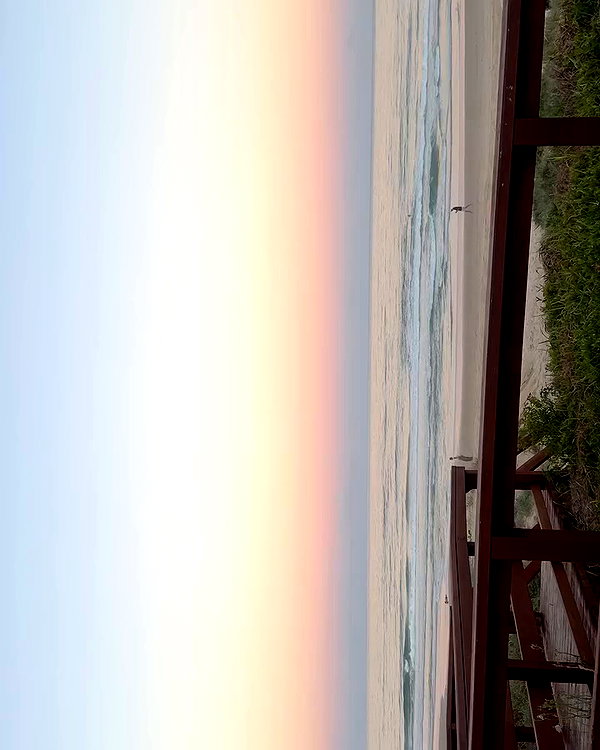 edenharper archive video preview