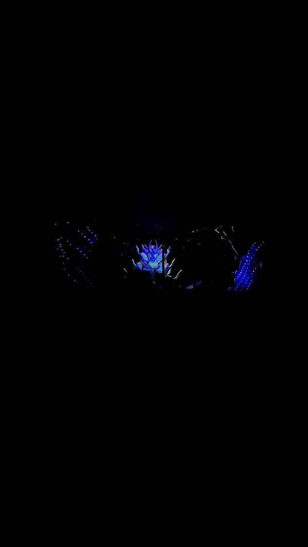 _.shelichka._ archive video preview