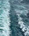 solzarubin_ Altpins Profile Picture