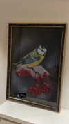 adellepisar Altpins Profile Picture