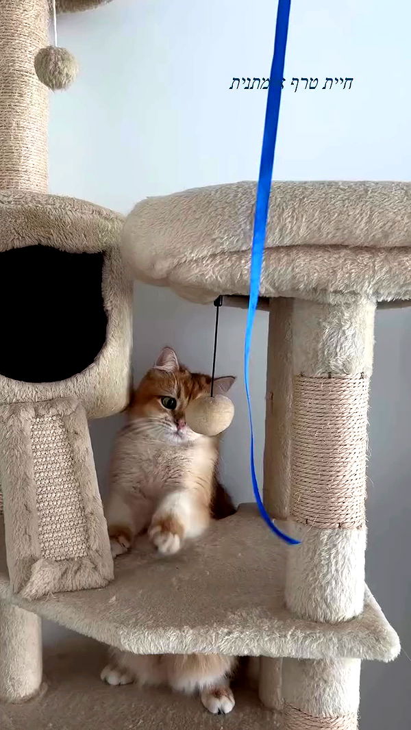 itsilanosh archive video preview