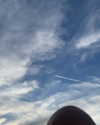 rouxroux.tv Altpins Profile Picture